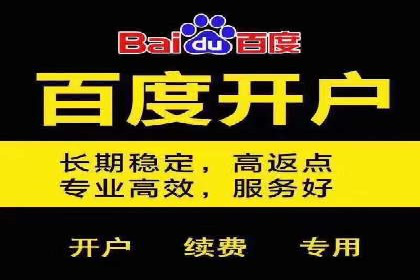 百度竞价包年案例：揭秘高效广告投放秘诀