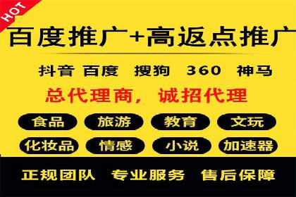 热门充值高返点平台案例分析